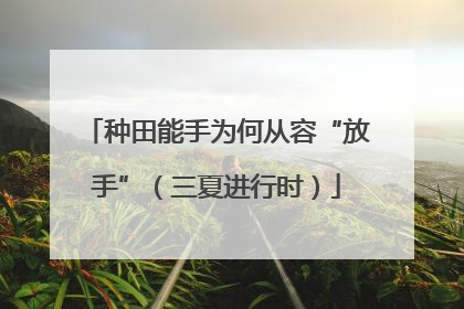 种田能手为何从容“放手”（三夏进行时）