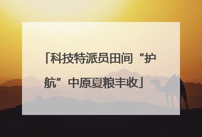 科技特派员田间“护航”中原夏粮丰收