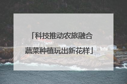 科技推动农旅融合 蔬菜种植玩出新花样