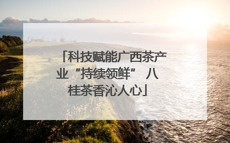 科技赋能广西茶产业“持续领鲜” 八桂茶香沁人心