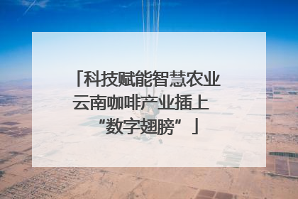 科技赋能智慧农业 云南咖啡产业插上“数字翅膀”