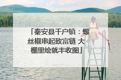 秦安县千户镇：螺丝椒串起致富链 大棚里绘就丰收图
