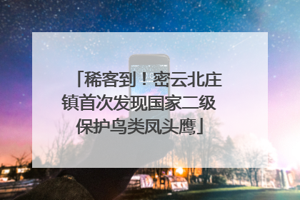 稀客到！密云北庄镇首次发现国家二级保护鸟类凤头鹰