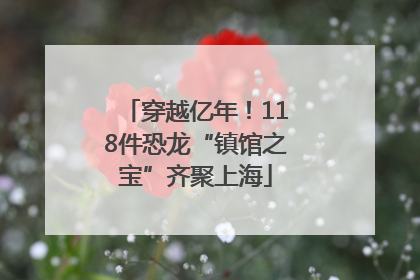 穿越亿年！118件恐龙“镇馆之宝”齐聚上海