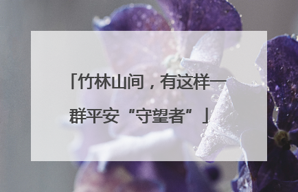 竹林山间，有这样一群平安“守望者”