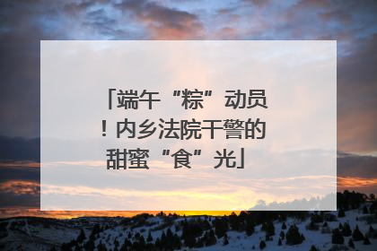 端午“粽”动员！内乡法院干警的甜蜜“食”光
