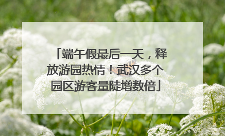 端午假最后一天，释放游园热情！武汉多个园区游客量陡增数倍