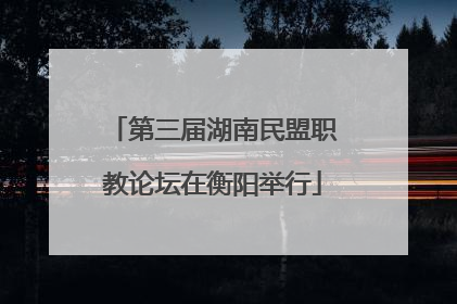 第三届湖南民盟职教论坛在衡阳举行