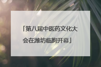 第八届中医药文化大会在潍坊临朐开幕
