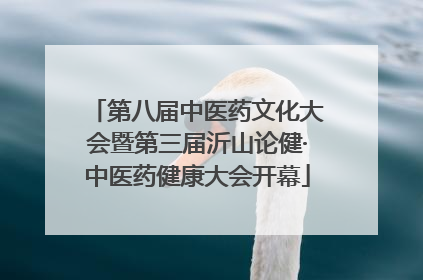 第八届中医药文化大会暨第三届沂山论健·中医药健康大会开幕
