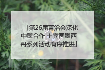第26届青洽会深化中墨合作 主宾国墨西哥系列活动有序推进
