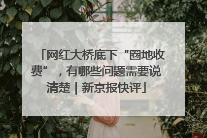 网红大桥底下“圈地收费”，有哪些问题需要说清楚｜新京报快评