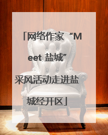 网络作家“Meet 盐城”采风活动走进盐城经开区