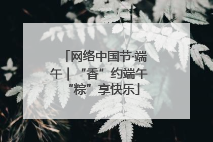 网络中国节·端午｜“香”约端午 “粽”享快乐