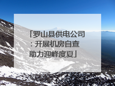 罗山县供电公司：开展机房自查 助力迎峰度夏