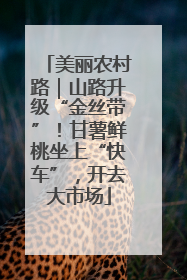 美丽农村路｜山路升级“金丝带”！甘薯鲜桃坐上“快车”，开去大市场