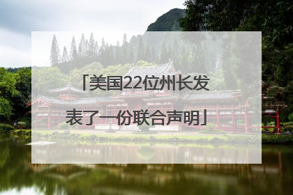 美国22位州长发表了一份联合声明