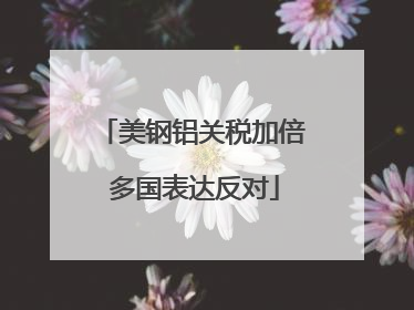 美钢铝关税加倍 多国表达反对