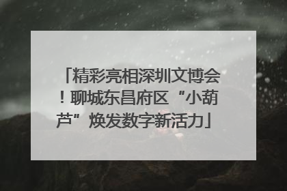精彩亮相深圳文博会！聊城东昌府区“小葫芦”焕发数字新活力