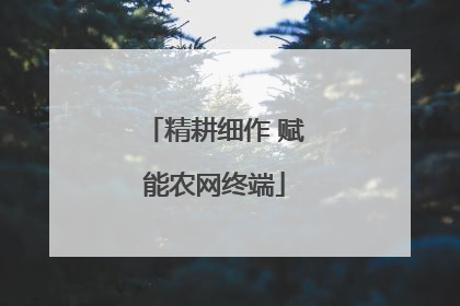 精耕细作 赋能农网终端