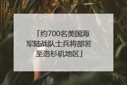 约700名美国海军陆战队士兵将部署至洛杉矶地区