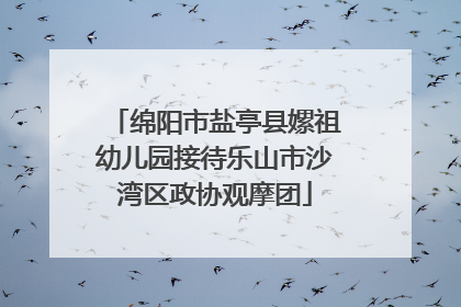 绵阳市盐亭县嫘祖幼儿园接待乐山市沙湾区政协观摩团