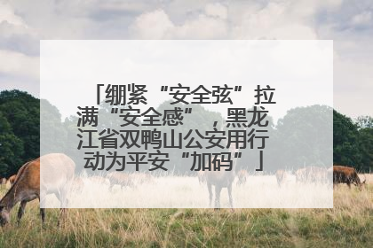 绷紧“安全弦”拉满“安全感”，黑龙江省双鸭山公安用行动为平安“加码”