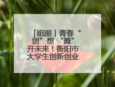 组图丨青春“创”想 “摊”开未来！衡阳市大学生创新创业集市火热开市