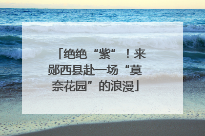 绝绝“紫”！来郧西县赴一场“莫奈花园”的浪漫