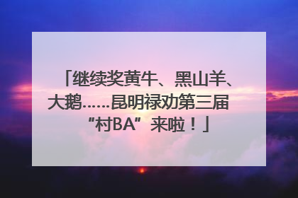 继续奖黄牛、黑山羊、大鹅……昆明禄劝第三届“村BA”来啦！