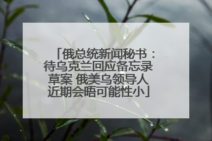 俄总统新闻秘书：待乌克兰回应备忘录草案 俄美乌领导人近期会晤可能性小