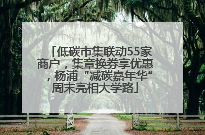 低碳市集联动55家商户，集章换券享优惠，杨浦“减碳嘉年华”周末亮相大学路