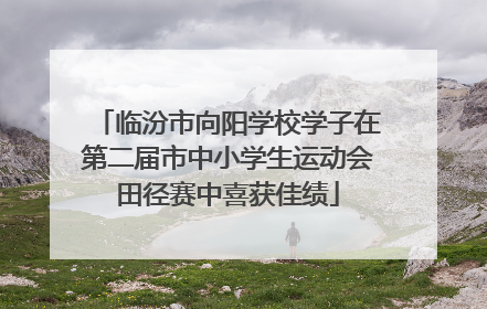 临汾市向阳学校学子在第二届市中小学生运动会田径赛中喜获佳绩
