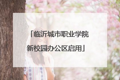 临沂城市职业学院新校园办公区启用