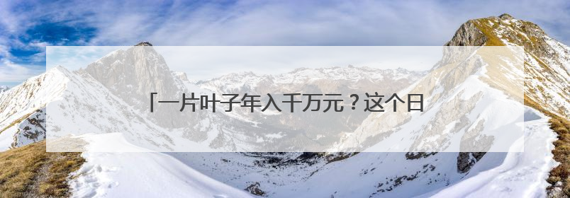 一片叶子年入千万元？这个日照青年的创业故事藏着答案！