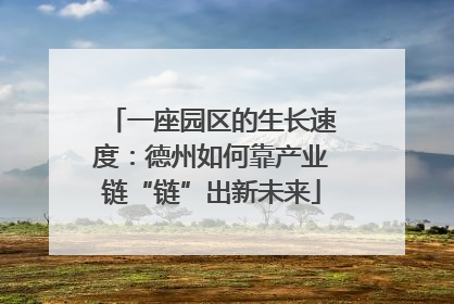 一座园区的生长速度：德州如何靠产业链“链”出新未来