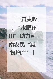 三夏麦收：“水肥还田”助力河南农民“减投增产”