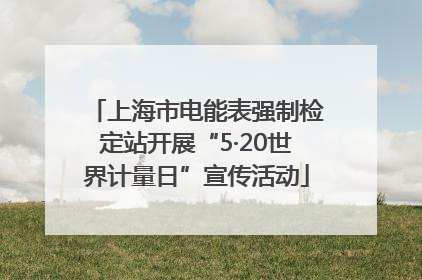 上海市电能表强制检定站开展“5·20世界计量日”宣传活动