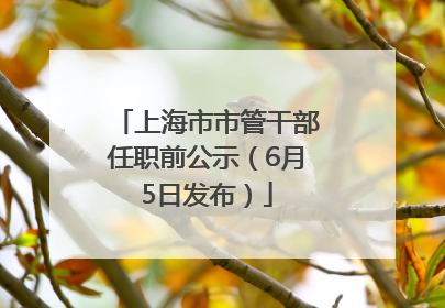 上海市市管干部任职前公示（6月5日发布）