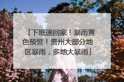 下班速回家！暴雨黄色预警！贵州大部分地区暴雨，多地大暴雨