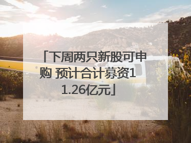 下周两只新股可申购 预计合计募资11.26亿元