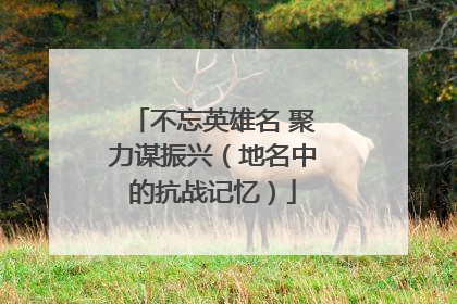 不忘英雄名 聚力谋振兴（地名中的抗战记忆）