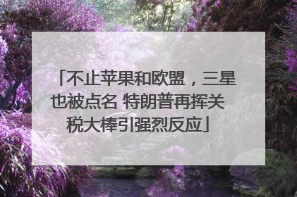 不止苹果和欧盟，三星也被点名 特朗普再挥关税大棒引强烈反应