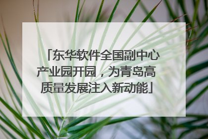 东华软件全国副中心产业园开园，为青岛高质量发展注入新动能
