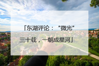 东湖评论：“微光”三十载，一朝成星河