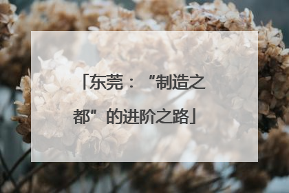 东莞：“制造之都”的进阶之路
