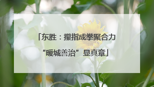 东胜：攥指成拳聚合力 “暖城善治”显真章