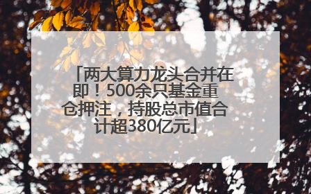 两大算力龙头合并在即！500余只基金重仓押注，持股总市值合计超380亿元