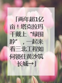 两年超1亿亩！塔克拉玛干戴上“绿围脖”，一起来看三北工程如何锁住黄沙筑长城→