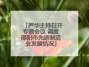 严华主持召开专题会议 调度邵阳市先进制造业发展情况
